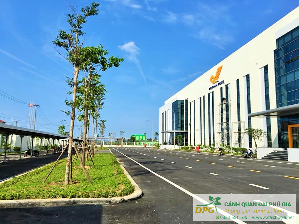 Hình đại diện