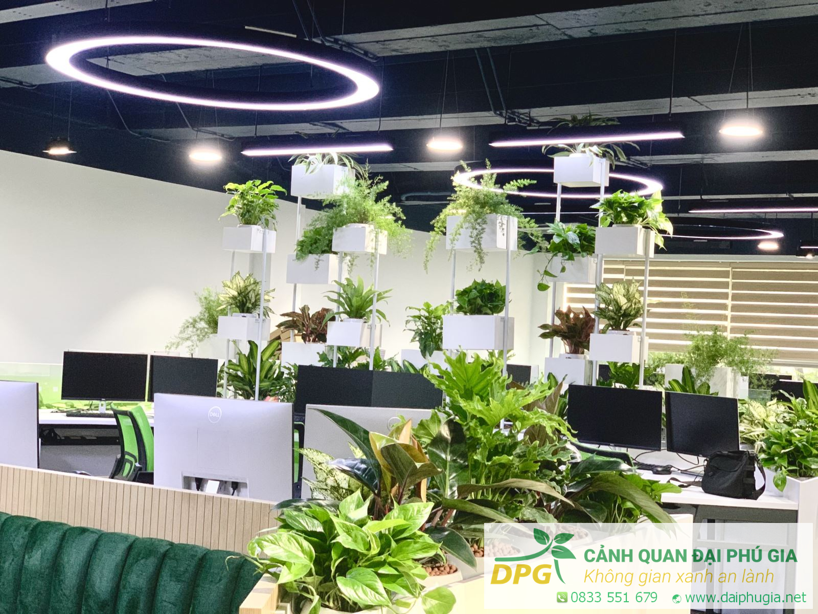 Dịch vụ của chúng tôi