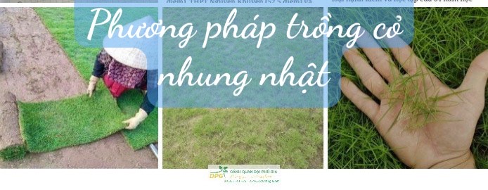 Hình đại diện