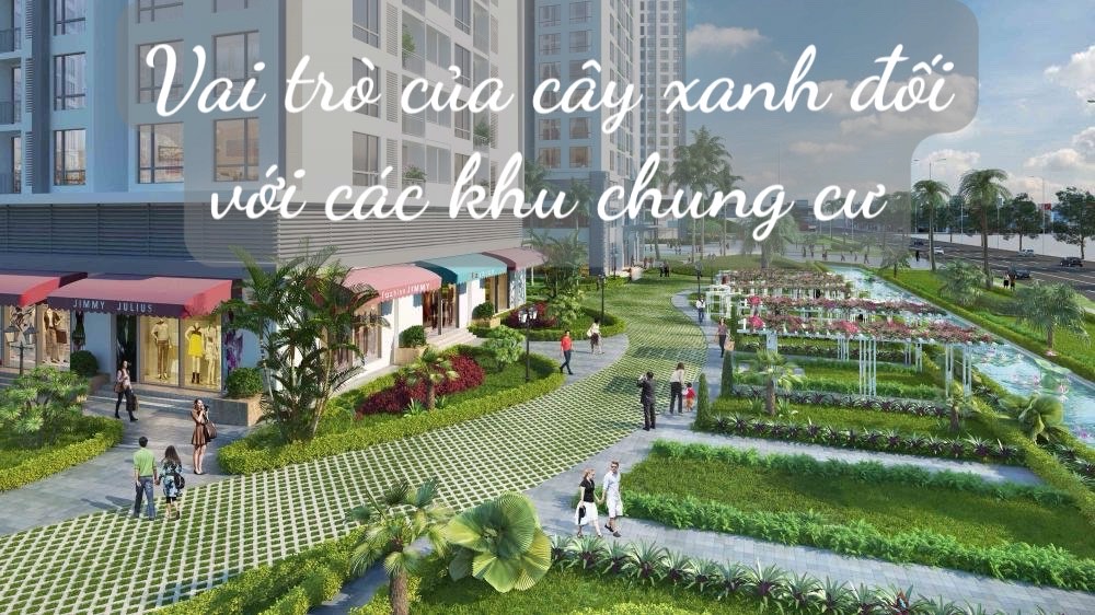 Hình đại diện
