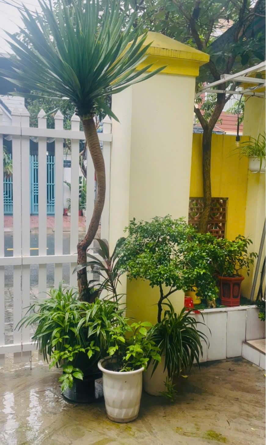 Hình đại diện