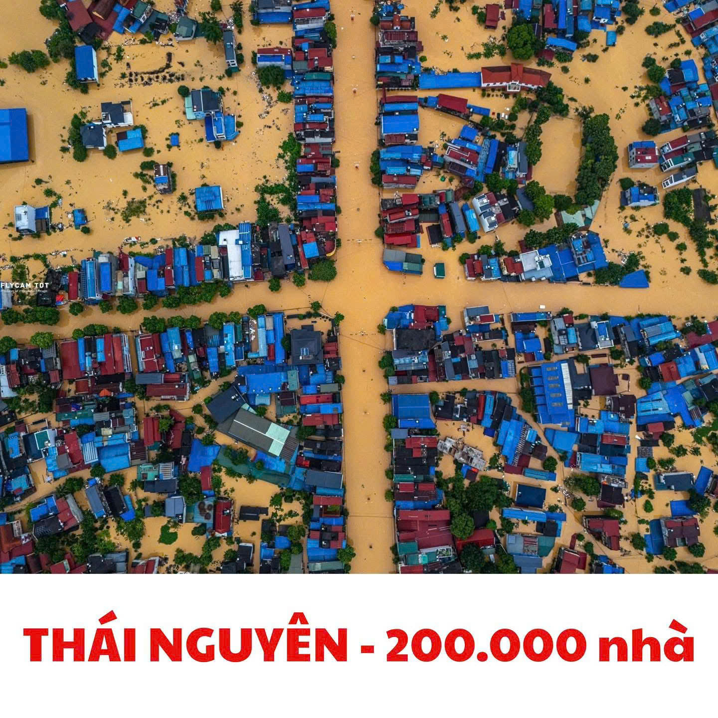 Hình đại diện