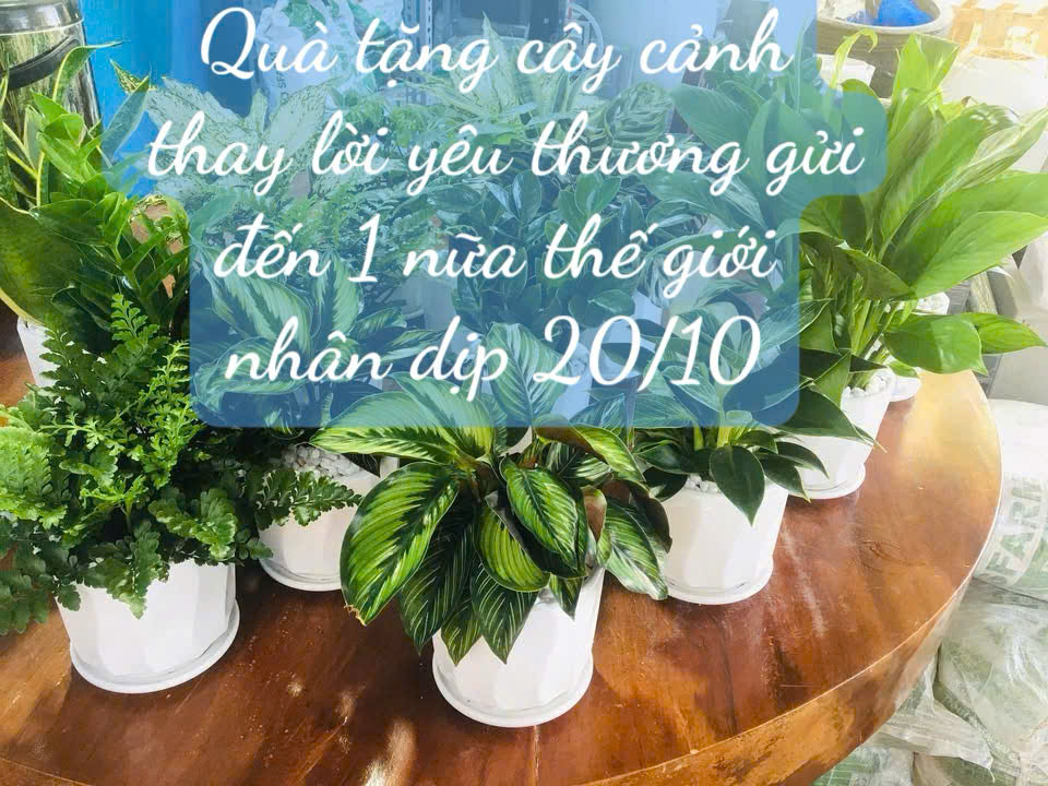Hình đại diện