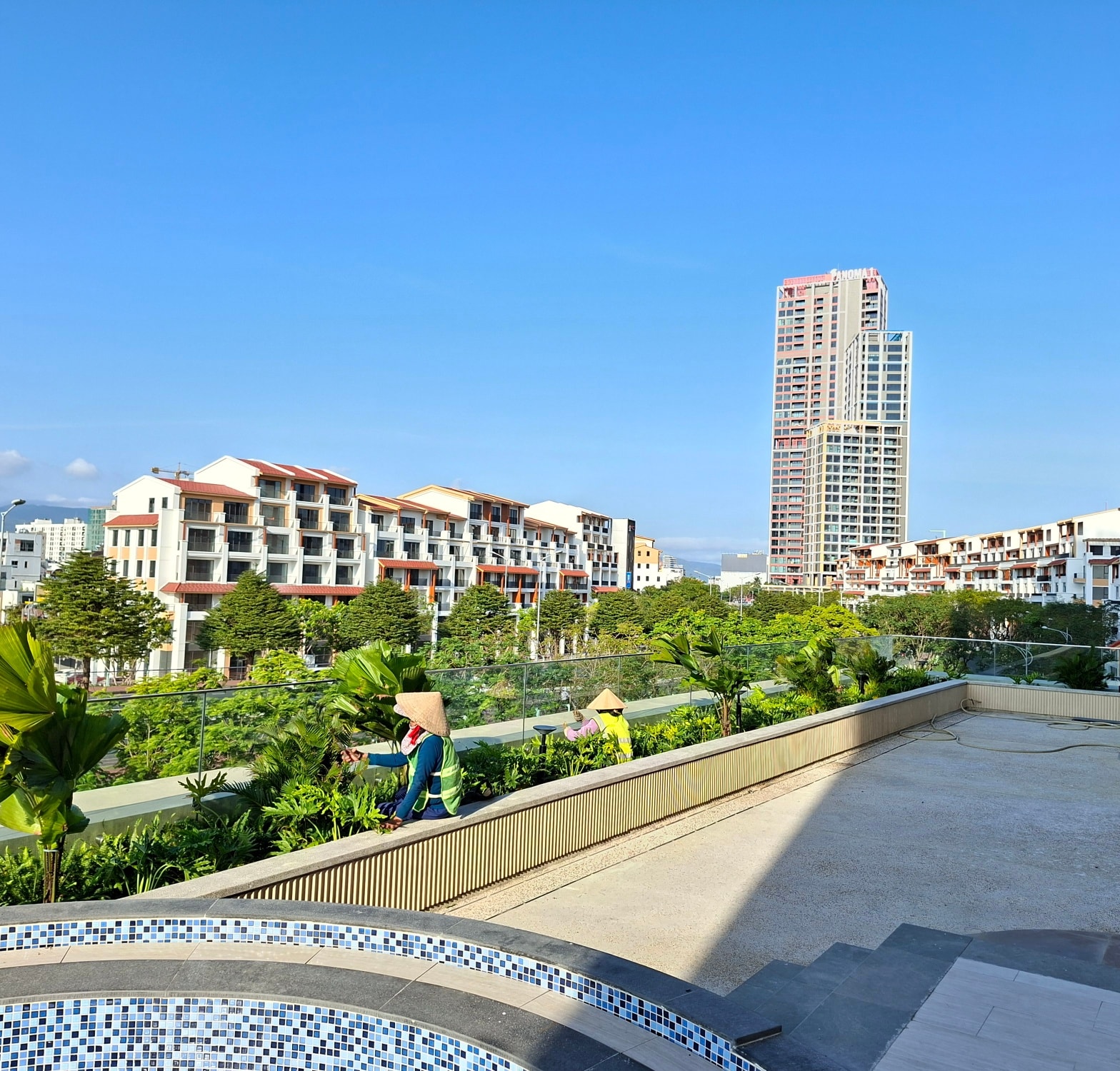 Hình đại diện