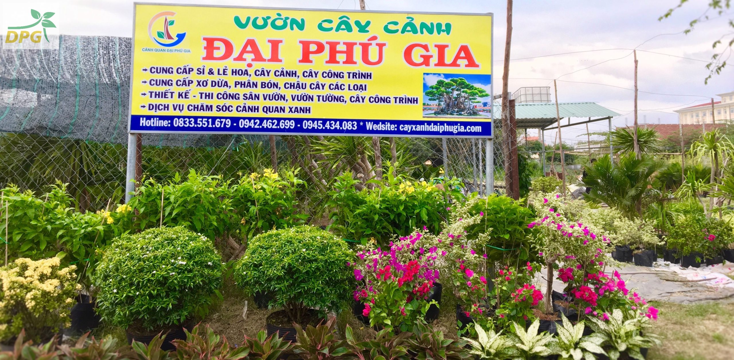 Hình đại diện