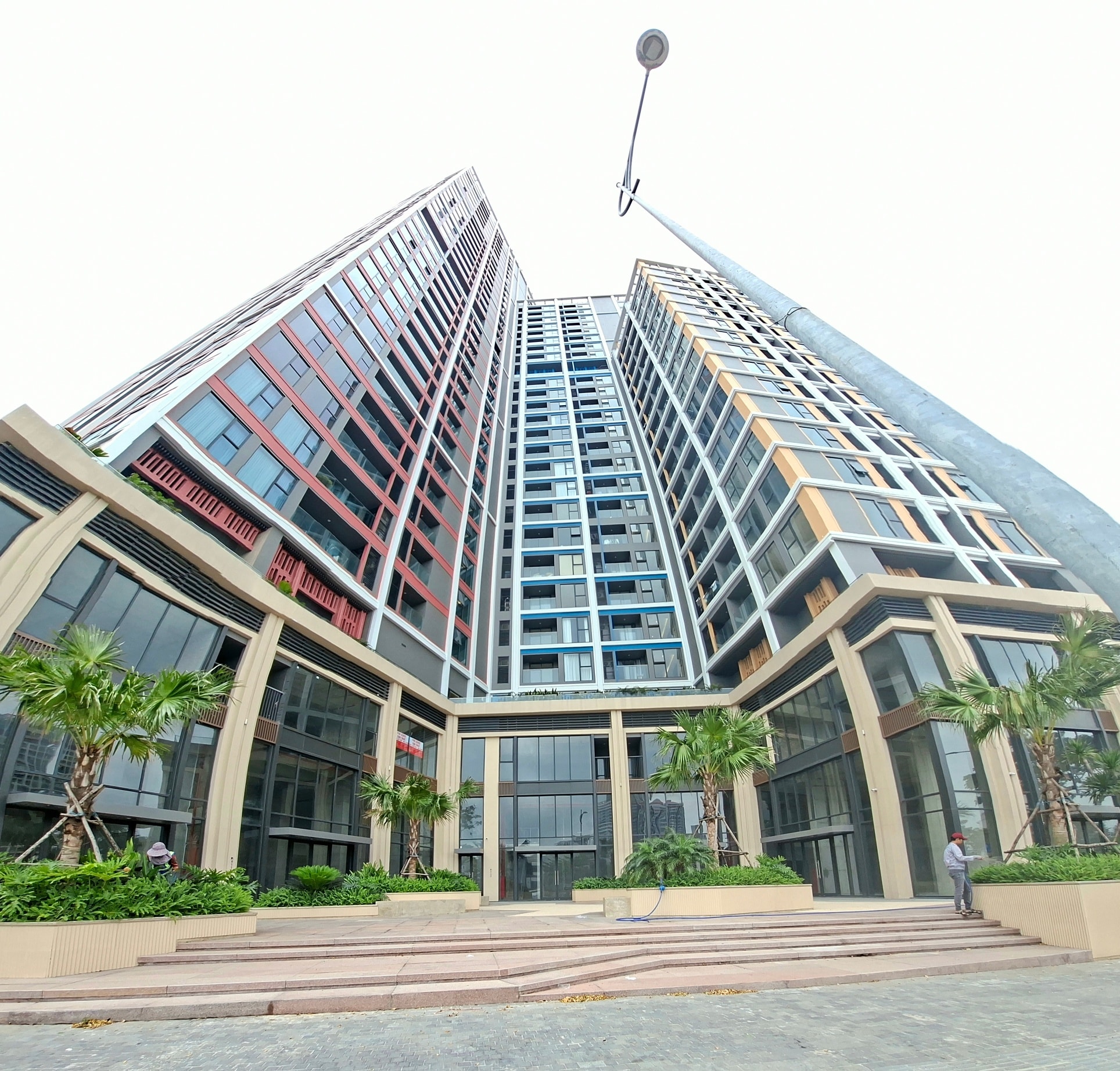 Hình đại diện