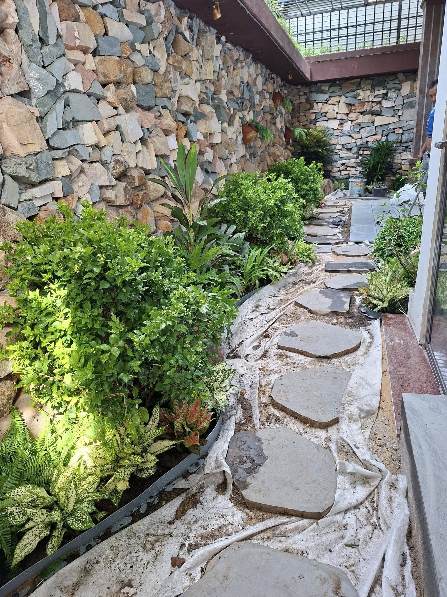 Hình đại diện